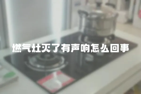 燃?xì)庠顪缌擞新曧懺趺椿厥?></a></div>
                    </div>
                    <div   id=