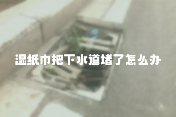 濕紙巾把下水道堵了怎么辦