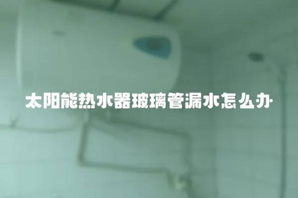 太陽能熱水器玻璃管漏水怎么辦