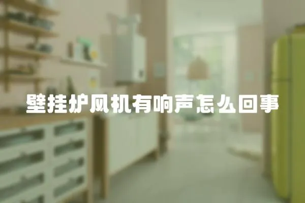 壁挂炉风机有响声怎么回事