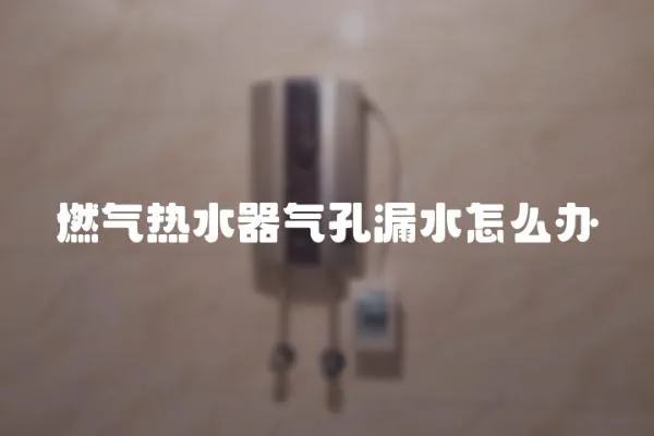燃氣熱水器氣孔漏水怎么辦