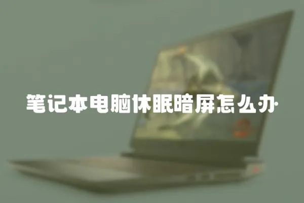 筆記本電腦休眠暗屏怎么辦