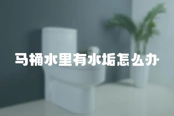 馬桶水里有水垢怎么辦