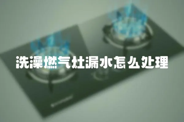 洗澡燃?xì)庠盥┧趺刺幚?></a></div>
                    <div   id=