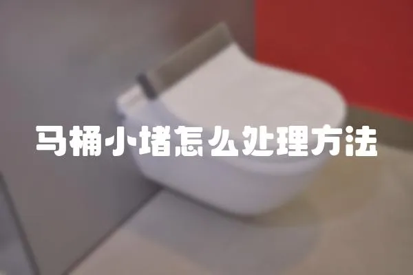 馬桶小堵怎么處理方法