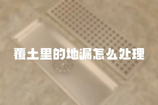 覆土里的地漏怎么處理
