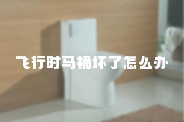 飛行時(shí)馬桶壞了怎么辦