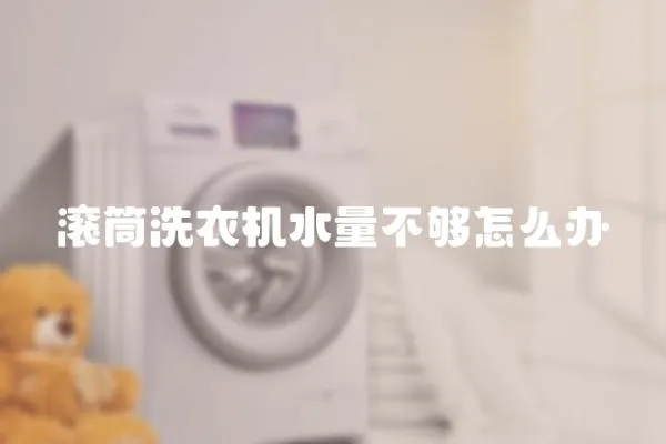 滾筒洗衣機水量不夠怎么辦