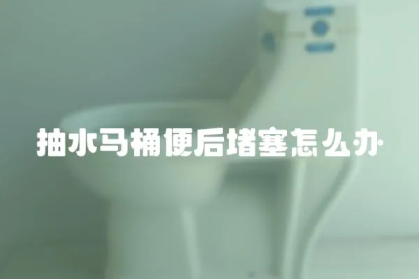 抽水馬桶便后堵塞怎么辦