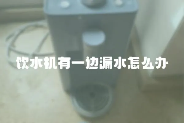 飲水機(jī)有一邊漏水怎么辦
