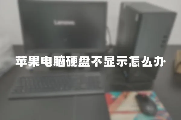 蘋果電腦硬盤不顯示怎么辦
