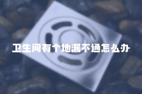 衛生間有個地漏不通怎么辦