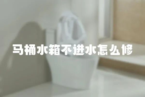 馬桶水箱不進水怎么修