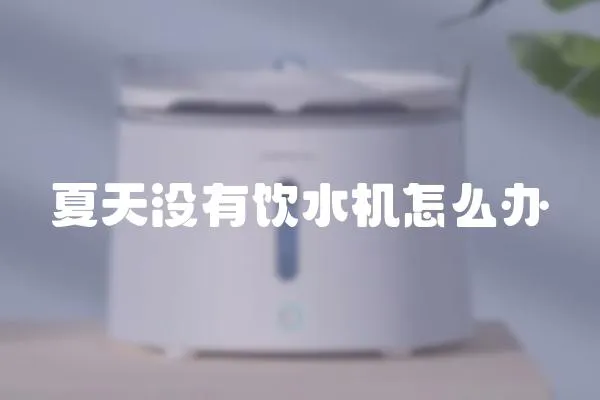 夏天沒有飲水機怎么辦