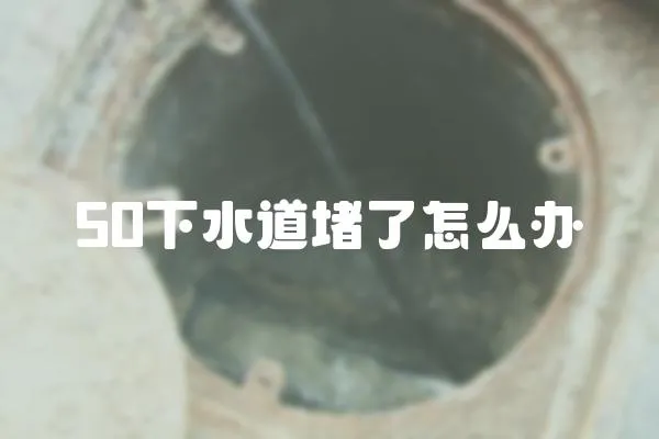 50下水道堵了怎么辦