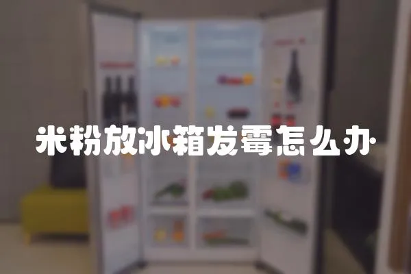 米粉放冰箱發霉怎么辦