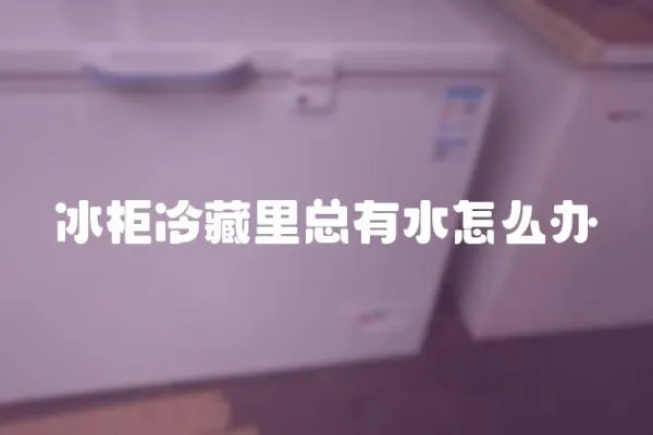 冰柜冷藏里总有水怎么办