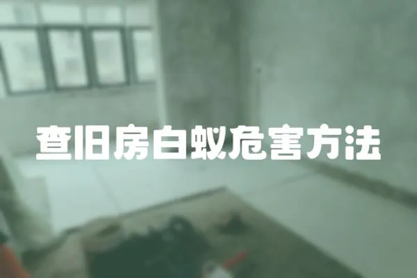 查舊房白蟻危害方法