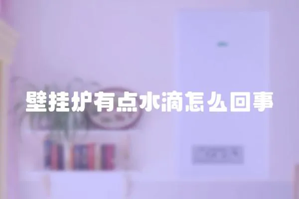 壁掛爐有點水滴怎么回事