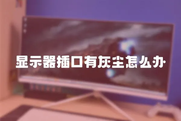 顯示器插口有灰塵怎么辦