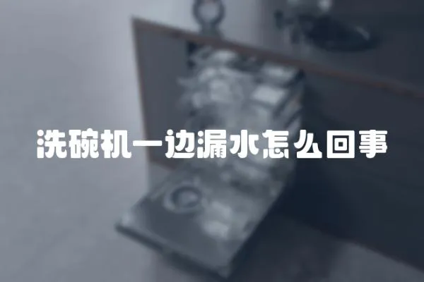 洗碗機一邊漏水怎么回事