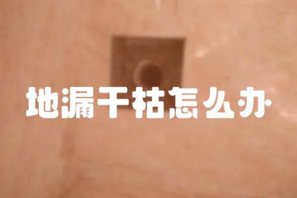 地漏干枯怎么辦