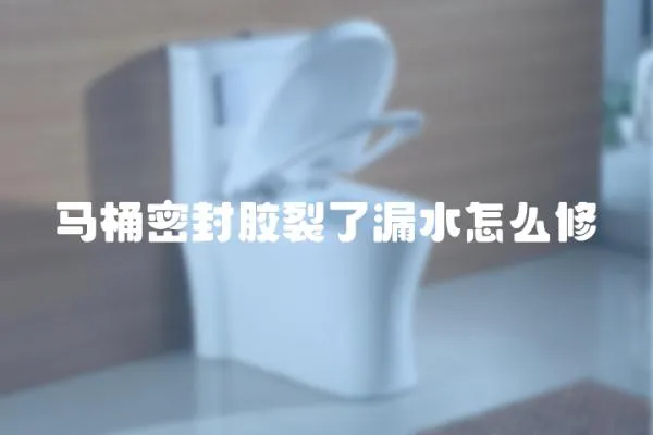 馬桶密封膠裂了漏水怎么修