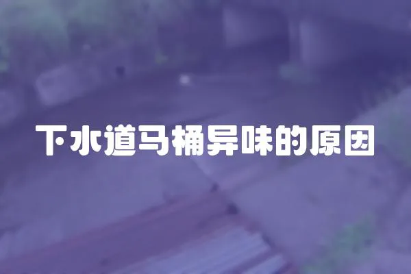 下水道馬桶異味的原因