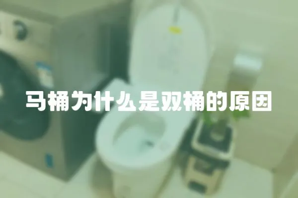 馬桶為什么是雙桶的原因