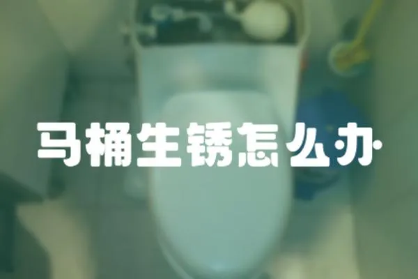 馬桶生銹怎么辦