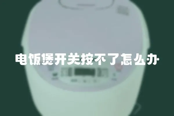 電飯煲開關按不了怎么辦
