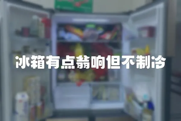 冰箱有點翁響但不制冷