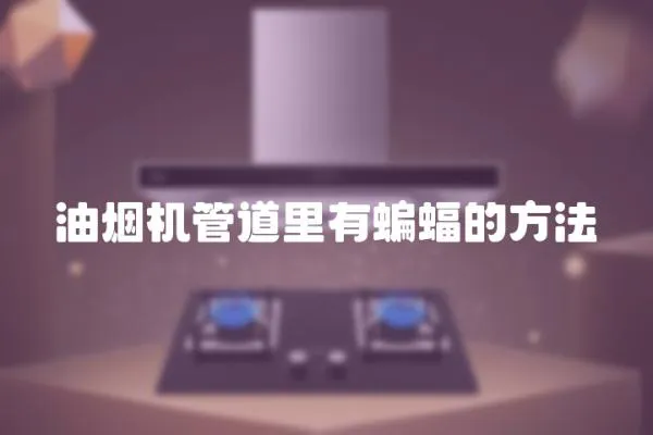 油煙機管道里有蝙蝠的方法