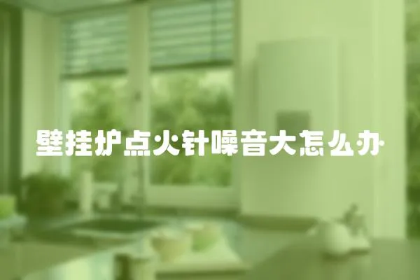 壁掛爐點火針噪音大怎么辦