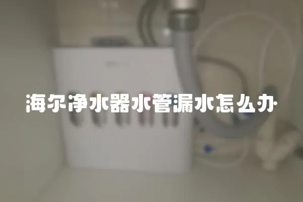 海爾凈水器水管漏水怎么辦