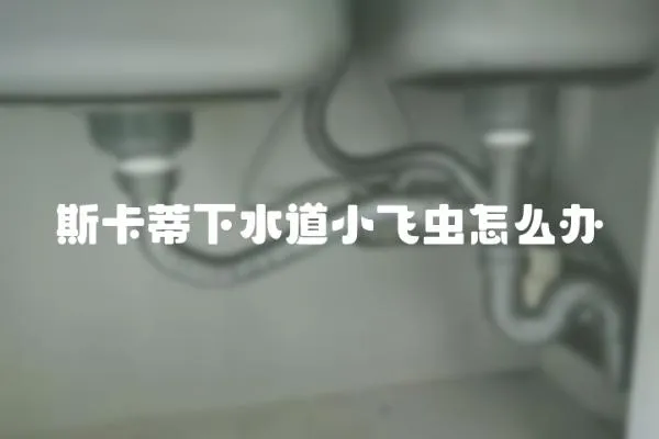 斯卡蒂下水道小飛蟲怎么辦