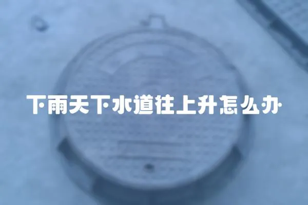 下雨天下水道往上升怎么辦