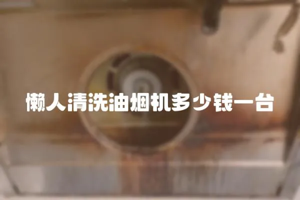 懶人清洗油煙機多少錢一臺