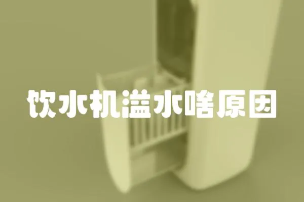 飲水機溢水啥原因