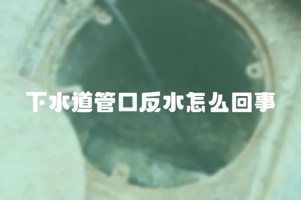 下水道管口反水怎么回事