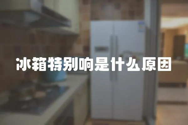 冰箱特別響是什么原因