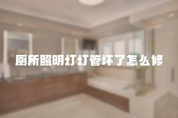 廁所照明燈燈管壞了怎么修