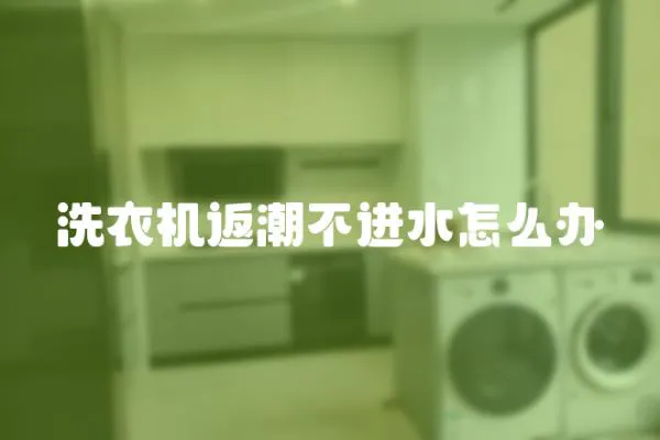洗衣機返潮不進水怎么辦