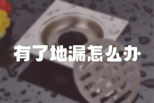 有了地漏怎么辦