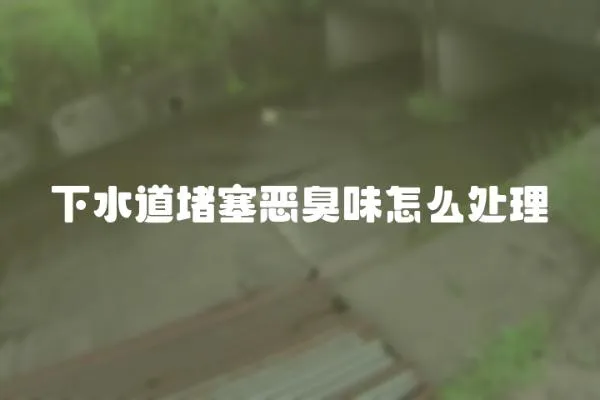 下水道堵塞惡臭味怎么處理