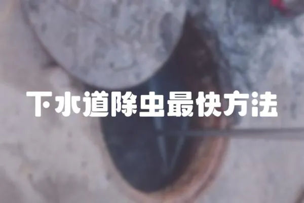 下水道除蟲最快方法
