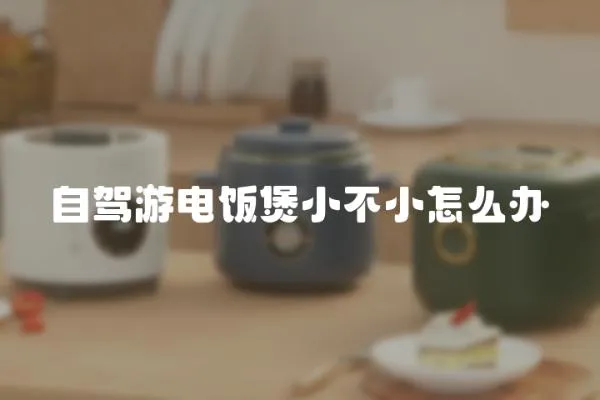自駕游電飯煲小不小怎么辦