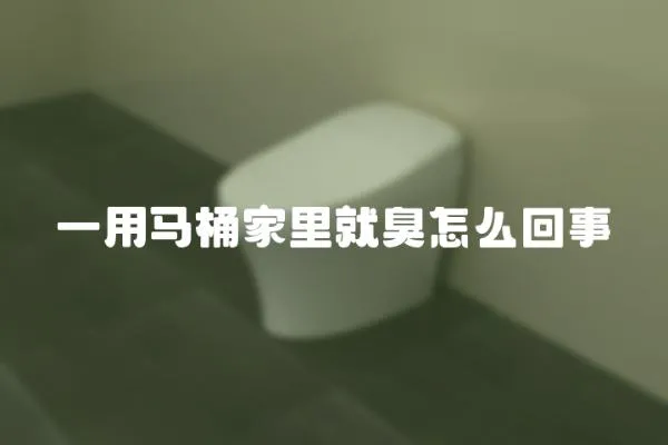 一用馬桶家里就臭怎么回事