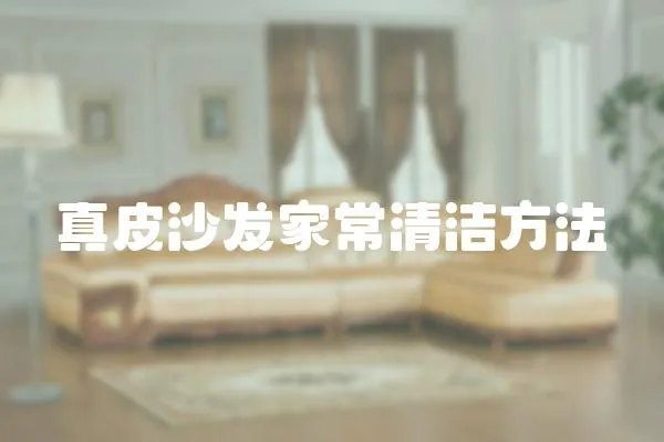 真皮沙發家常清潔方法