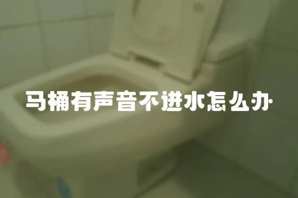 馬桶有聲音不進水怎么辦